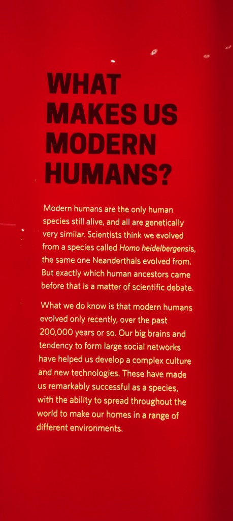 National History Museum